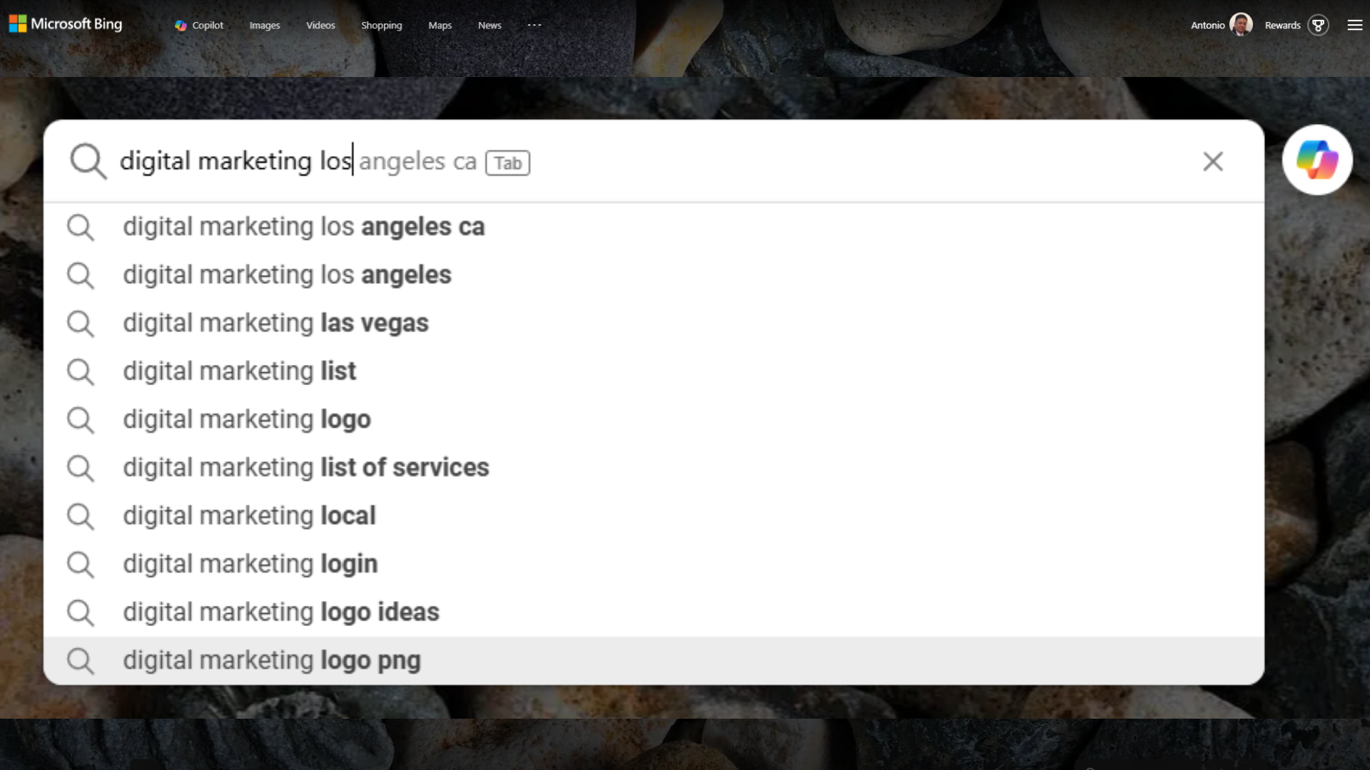 Bing's Search Box